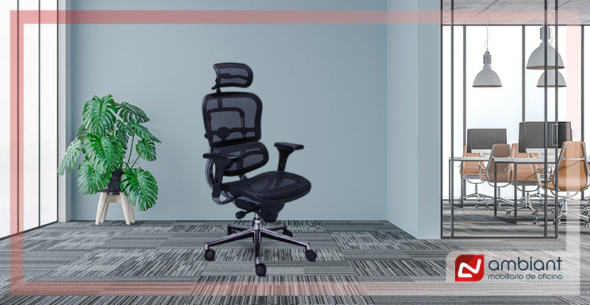 Cómo escoger la mejor silla ejecutiva.