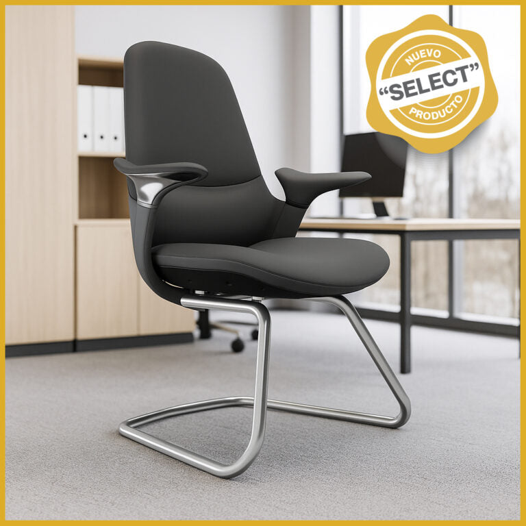 Silla Ejecutiva TH09 Vinipiel Negro y Base de Trineo Cromada Ofik 1291