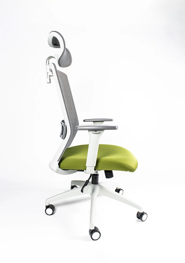 Silla Reclinable Arla RE-3200/BL-Cabecera Requiez