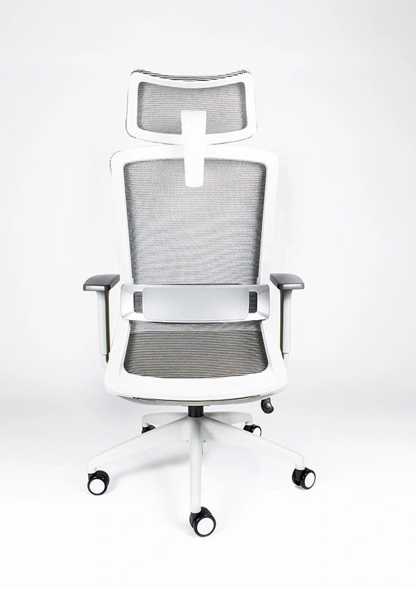 Silla Reclinable Arla RE-3200/BL-Cabecera Requiez