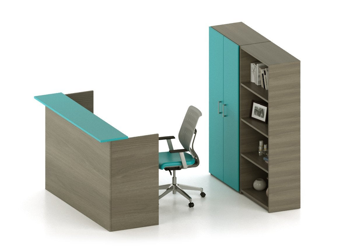 Conjunto de recepción y libreros