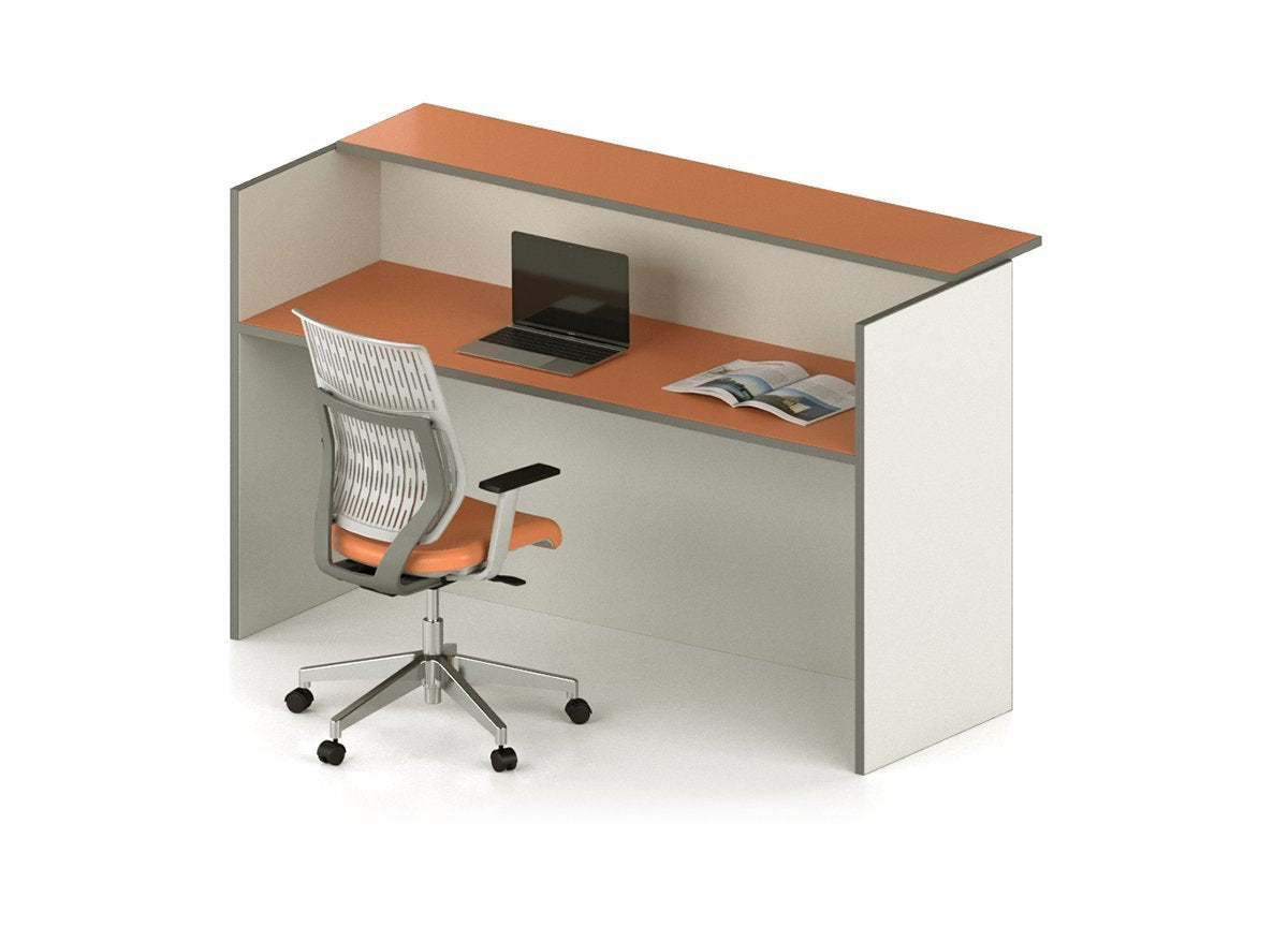 Recepción tipo mostrador