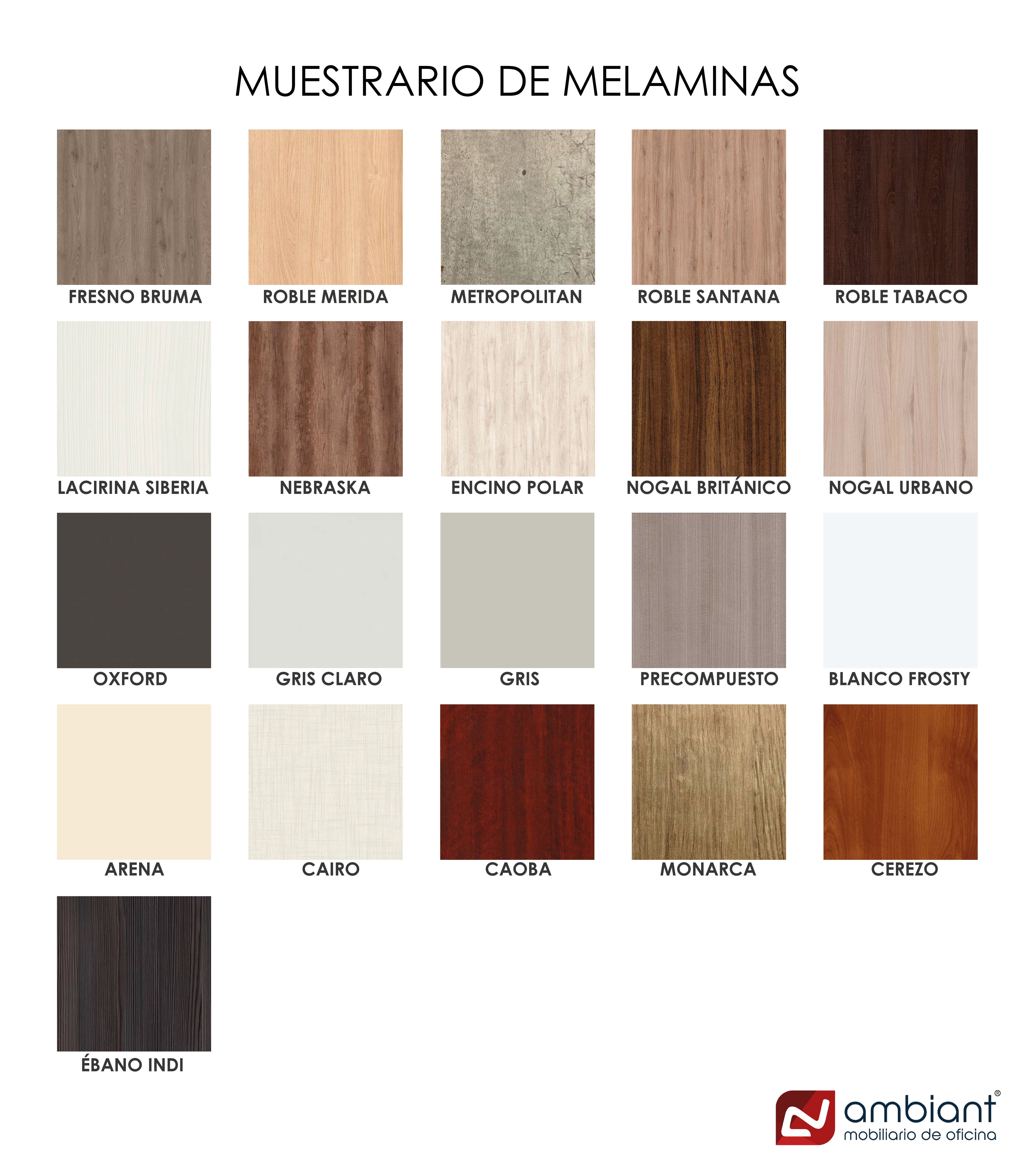 Escritorio Ejecutivo Evo con Credenza Baja Versa