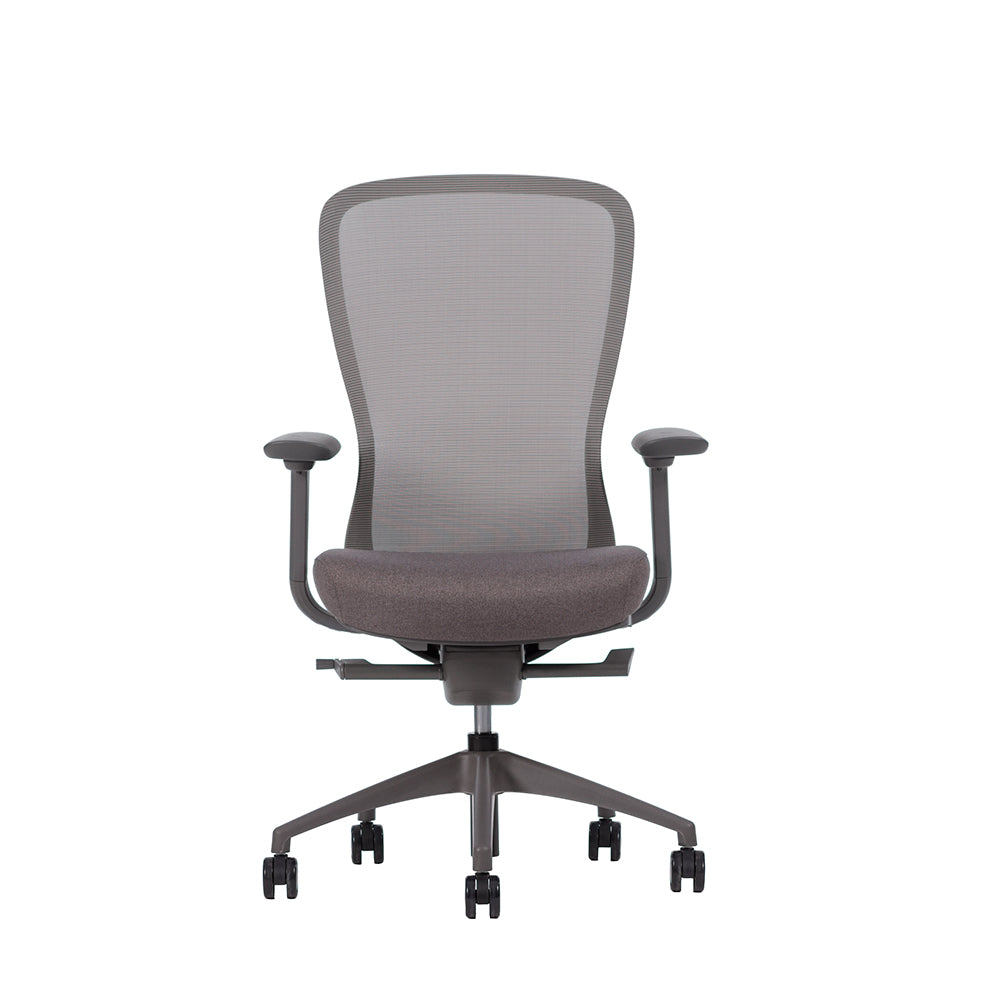 Silla Ejecutiva Omega Respaldo Bajo
