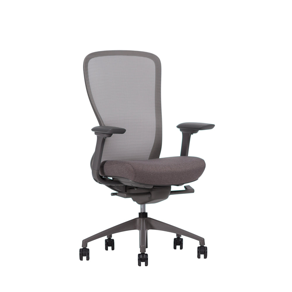 Silla Ejecutiva Omega Respaldo Bajo