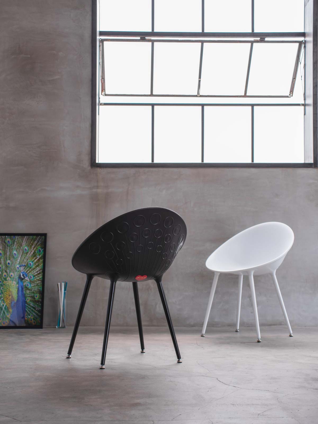 Silla Pavone 7056 Lagoon