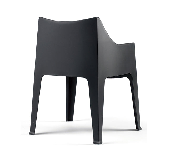 Silla coccolona labenze