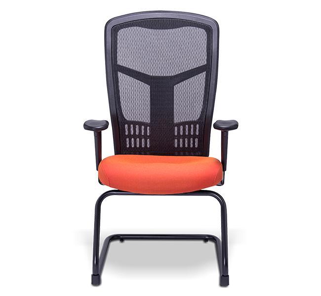 Sillón de visita ejecutivo requiez