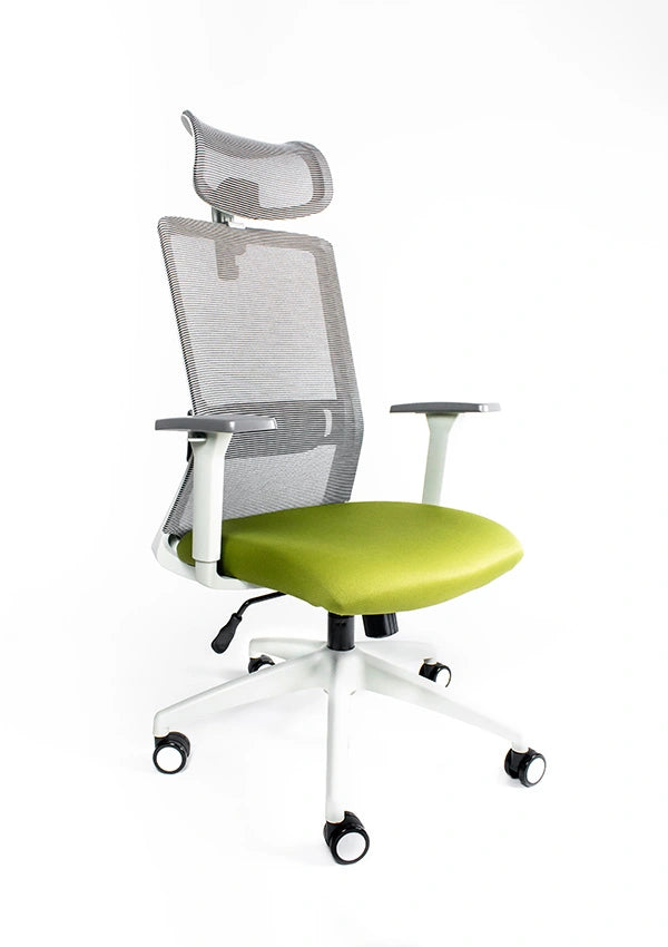 Silla Reclinable Arla RE-3200/BL-Cabecera Requiez