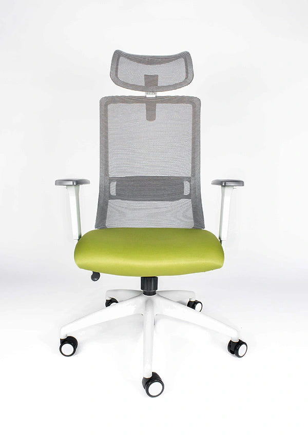 Silla Reclinable Arla RE-3200/BL-Cabecera Requiez